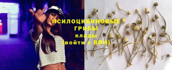 бошки Абинск