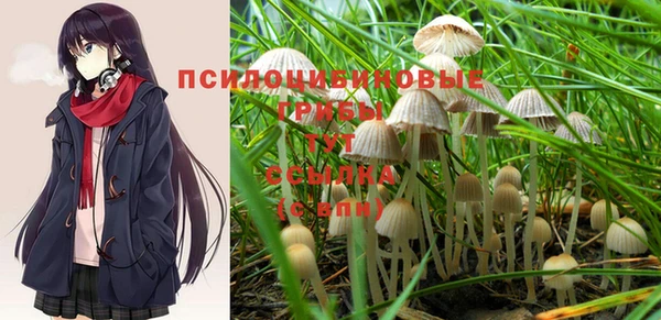 бошки Абинск