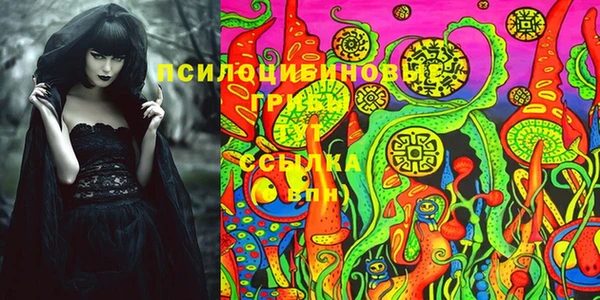 бошки Абинск